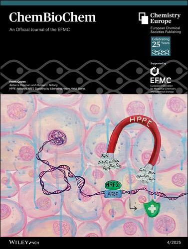 Front Cover: HPPE Activates NRF2 Signaling by Liberating Heavy Metal Stores (ChemBioChem 4/2025)