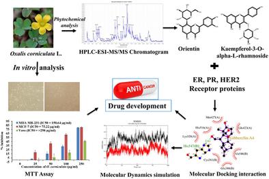 Oxalis corniculata-Derived Bioactive Compounds Target Hormone Receptors in Breast Cancer: HPLC-ESI-MS/MS Analysis, Cytotoxicity, and Computational Studies