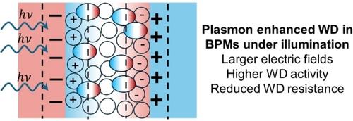 Light Enhanced Water Dissociation in Bipolar Membranes