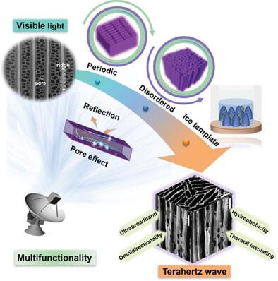 Bioinspired Disordered Aerogel for Omnidirectional Terahertz Response