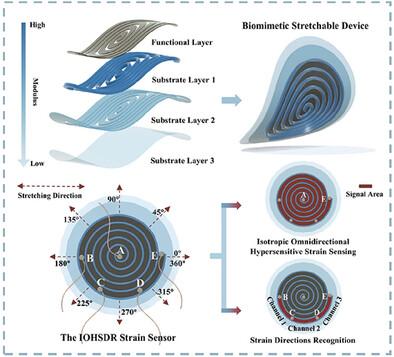 Simultaneous Isotropic Omnidirectional Hypersensitive Strain Sensing and Deep Learning-Assisted Direction Recognition in a Biomimetic Stretchable Device
