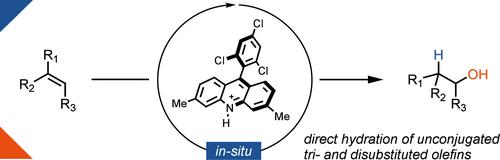 N-Protonated Acridinium Catalyst Enables Anti-Markovnikov Hydration of Unconjugated Tri- and Disubstituted Olefins.