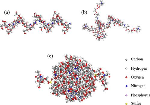 Molecular Dynamics Simulation of the Hydration Lubrication Mechanism of CS-MPC/CS-ChS NPs.