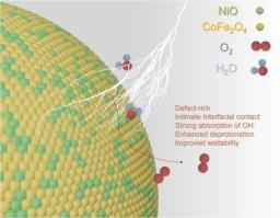 In-situ constructing of NiO/CoFe2O4 heterojunction through oxophilicity engineering for efficient water oxidation