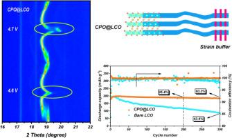 Constructing lattice-matched strain buffer layer on LiCoO2 for stable high-voltage cycling