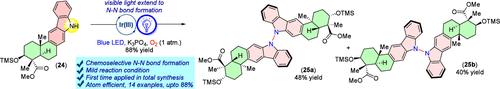 Total Synthesis of Dixiamycins A and B via a Late-Stage N-N Bond Formation under Visible Light Photoredox Catalysis.