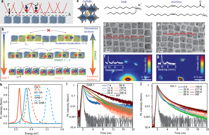 Environment-assisted quantum transport of excitons in perovskite nanocrystal superlattices