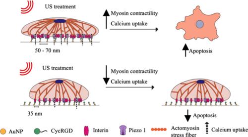 Nanoscale Ligand Spacing Regulates Mechanical Force-Induced Cancer Cell Killing.