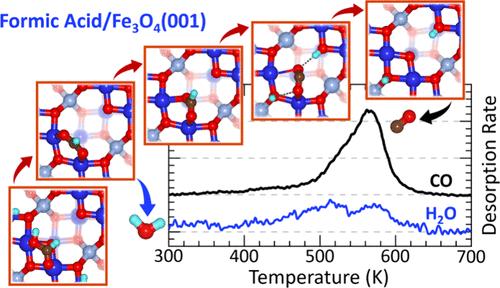 The Role of Surface Hydroxyls in Dehydration and Dehydrogenation of Formic Acid on Fe3O4(001)