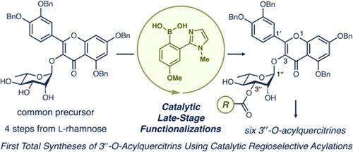 Unified Strategy for the Concise Total Syntheses of All Six 3″-O-Acyl Quercitrins Based on Regioselective Acylation Catalyzed by Boronic Acid