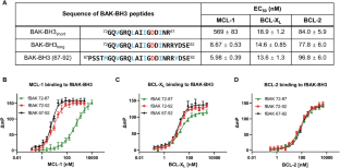 Deciphering molecular specificity in MCL-1/BAK interaction and its implications for designing potent MCL-1 inhibitors
