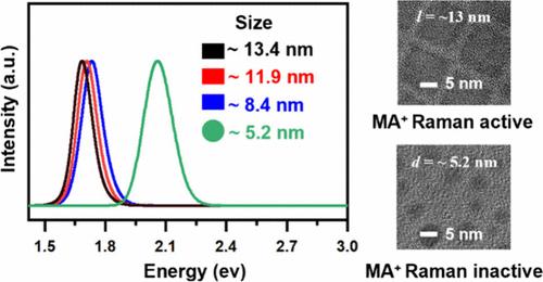 Role of Size and Shape in Photoluminescence and Ultra-Low-Frequency Raman of Methylammonium Lead Iodide Perovskite Quantum Dots
