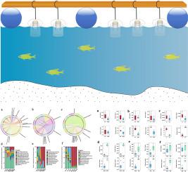 Impact of microplastics on microbial diversity and pathogen distribution in aquaculture ecosystems: A seasonal analysis