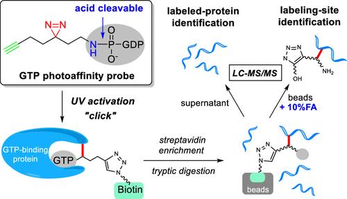 Acid-Cleavable Guanosine Triphosphate-Photoaffinity Probe for Global Profiling of Guanosine Triphosphate-Binding Proteins and Their Active Sites