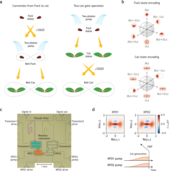 Entangling Schrödinger’s cat states by bridging discrete- and continuous-variable encoding