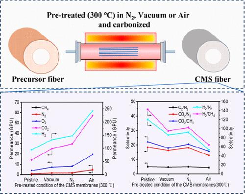 Optimizing the Stabilization Environment of the Carbon Molecular Sieve Membranes Derived from the Porous Hollow Fibers for Gas Separation