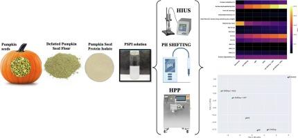 From seed to solution: Enhancing techno-functionality and digestibility of pumpkin seed protein isolate through high-intensity ultrasound, high-pressure processing, and pH-shifting