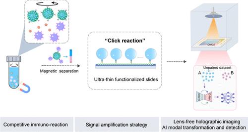 Lens-Free Holographic Imaging-Based Immunosensor Using Unpaired Data Set Signal-to-Noise Ratio-Enhanced Modal Transformation for Biosensing