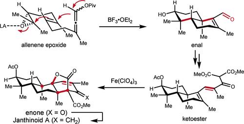 Asymmetric Total Synthesis of Janthinoid A
