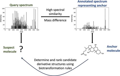 Molecular Structure Discovery for Untargeted Metabolomics Using Biotransformation Rules and Global Molecular Networking