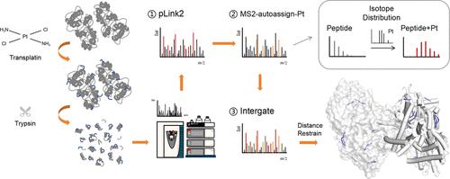 Utilizing Platinum(II)-Based Cross-Linker and Two-Stage Data Analysis Strategy to Investigate the Allosteric in Glycogen Phosphorylase