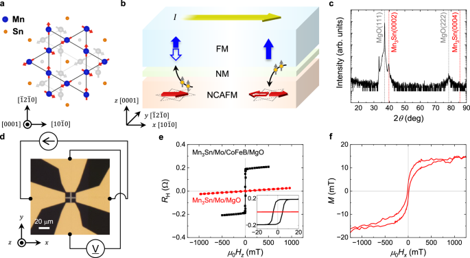 Electrical mutual switching in a noncollinear-antiferromagnetic–ferromagnetic heterostructure