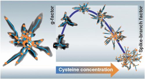 Graph–Property Relationships for Complex Chiral Nanodendrimers