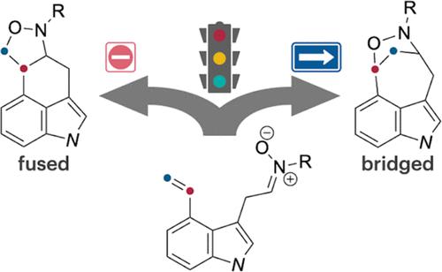 Bridged-Type Selective Intramolecular Nitrone–Alkene Cycloaddition: Computational Chemistry-Inspired Regioselectivity Control