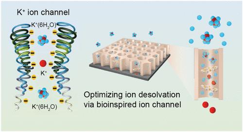 Accelerating Ion Desolvation via Bioinspired Ion Channel Design in Nonconcentrated Aqueous Electrolytes