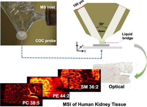 A Low-Cost, High-Resolution Thermoplastic Microfluidic Probe for Mass Spectrometry Imaging of Biological Tissue Samples