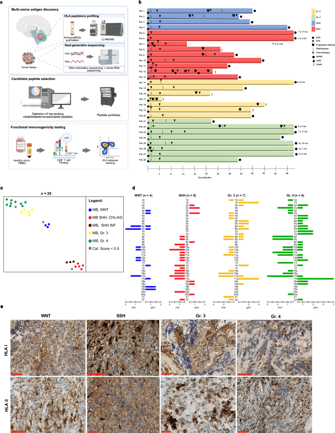Mapping naturally presented T cell antigens in medulloblastoma based on integrative multi-omics