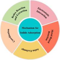 The mechanism and influential factors for radioactive iodide adsorption: A review