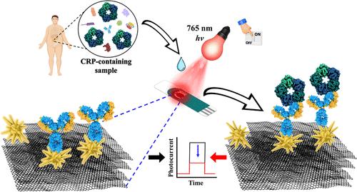 Plasmonic Graphene–Gold Nanostar Heterojunction for Red-Light Photoelectrochemical Immunosensing of C-Reactive Protein