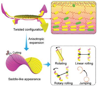 Incompatible Geometry Regulation of Nanowire Assemblies Enabled Light-Driven Shape Morphing and Motions