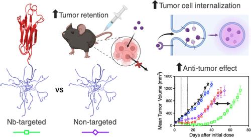 Nanobody-Mediated Cellular Uptake Maximizes the Potency of Polylysine Dendrimers While Preserving Solid Tumor Penetration