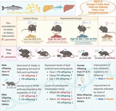 Fishing for Solutions: How Pre-Conceptional Fish Oil Supplementation in Obese Fathers Reduces Risk of Non-Alcoholic Fatty Liver Disease in Offspring Mice