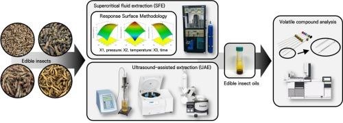 Optimization and comparative analysis of quality characteristics and volatile profiles in edible insect oils extracted using supercritical fluid extraction and ultrasound-assisted extraction methods