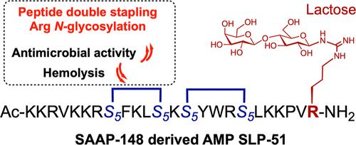 Peptide Double-Stapling and Arginine N-Glycosylation Triggered the Development of Therapeutic Antimicrobial Peptides Capable of Killing Drug-Resistant Bacteria in Mice