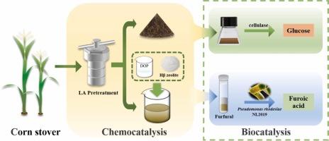 Synergistic boosting furoic acid and glucose production from corn stover by tandem chemocatalysis and biocatalysis