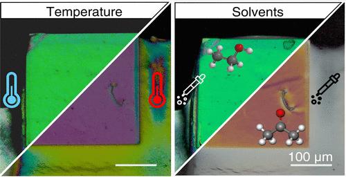 Micropatterned Liquid Crystalline Networks for Multipurpose Color Pixels.