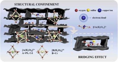 The dual selective adsorption mechanism on low-concentration Cu(II): Structural confinement and bridging effect