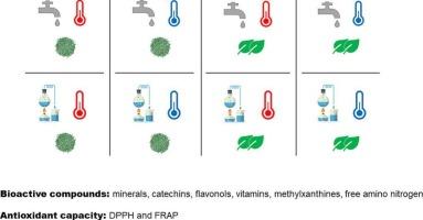 Optimizing brewing conditions for low-temperature green tea infusions: Insights into functional and nutritional properties