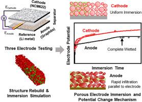 Understanding electrolyte infiltration mechanisms in high-density battery electrodes: A multimodal approach