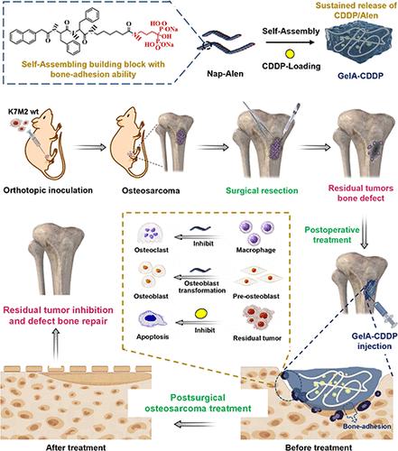 Bone-Adhesive Peptide Hydrogel Loaded with Cisplatin for Postoperative Treatment of Osteosarcoma.