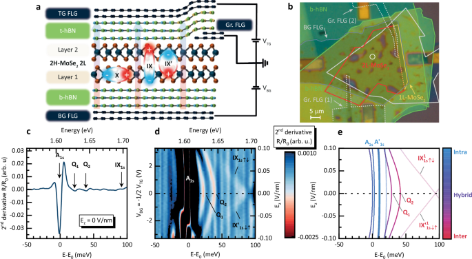 Quadrupolar excitons in MoSe2 bilayers
