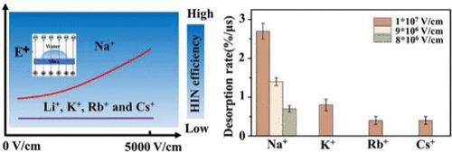 Ion-Specific Effects under Electric Fields on Ice Nucleation at the Mica Surface