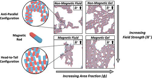 Directed Assembly of Magnetic Colloidal Rods in an External Field