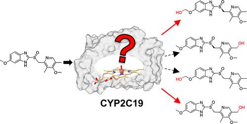 Stereo- and Regioselective Metabolism of the Omeprazole Enantiomers by CYP2C19: Insights from Binding Free Energy and QM/MM Calculations in a Curtin–Hammett Framework