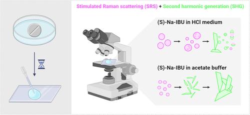Chemically Specific Coherent Raman Imaging of Liquid–Liquid Phase Separation and Its Sequelae