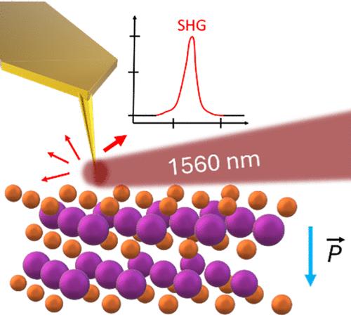 Imaging Domain Walls in van der Waals Ferroelectrics Using Tip-Enhanced Second Harmonic Generation
